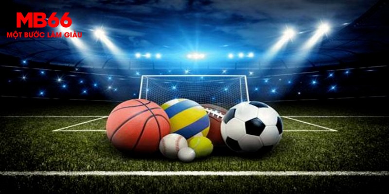 Kinh nghiệm và lời khuyên từ chuyên gia CMD368 Sport ra sao?