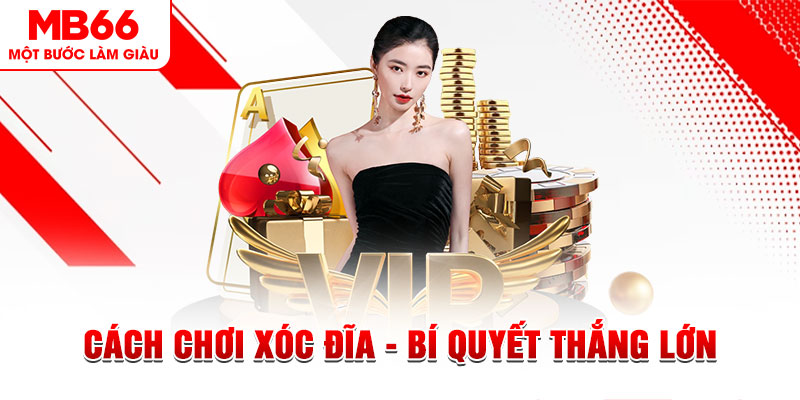 Cách Chơi Xóc Đĩa - Bí Quyết Thắng Lớn Đến Từ MB66