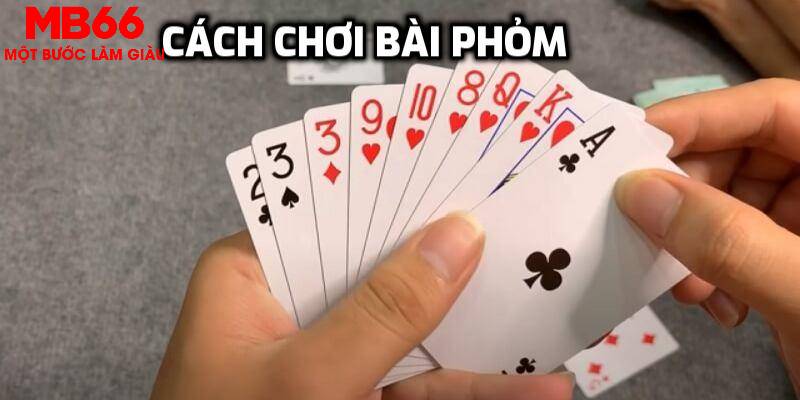 Tìm hiểu về bài phỏm